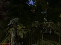 Das dunkle Geheimnis