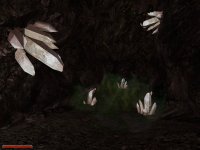 Das dunkle Geheimnis