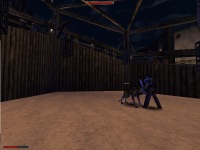 Dunkle Brut Modvorstellung