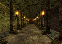 Der Kampf um die Bruderschaft - Das Erbe der G�tter