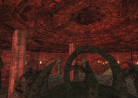 Der Kampf um die Bruderschaft - Das Erbe der G�tter