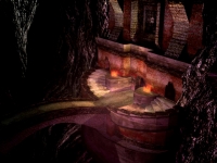 Chromanin