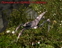 Chromanin