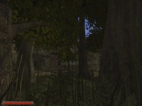 Der Kampf um die Bruderschaft - Das Erbe der G�tter