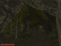 Der Kampf um die Bruderschaft - Das Erbe der G�tter