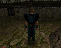 Gothic 2 - Die Morgend�mmerung