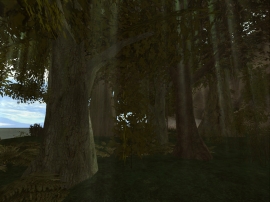 Terysoa - Das Erbe der G�tter