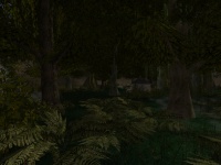 Bruderschaft Geburtstagsmod