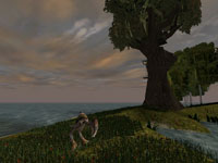 PTP - Reif f�r die Insel