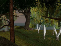 PTP - Reif f�r die Insel