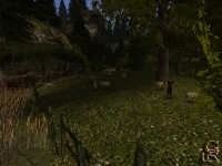 gothic2-screens