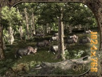 gothic3-wallpapers
