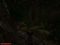 modifikation-der-kreis-beliars