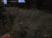 modifikation-fight-contest