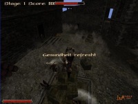 modifikation-fight-contest