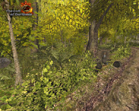 modifikation-godrings