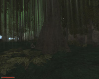 modifikation-kampf-um-die-bruderschaft